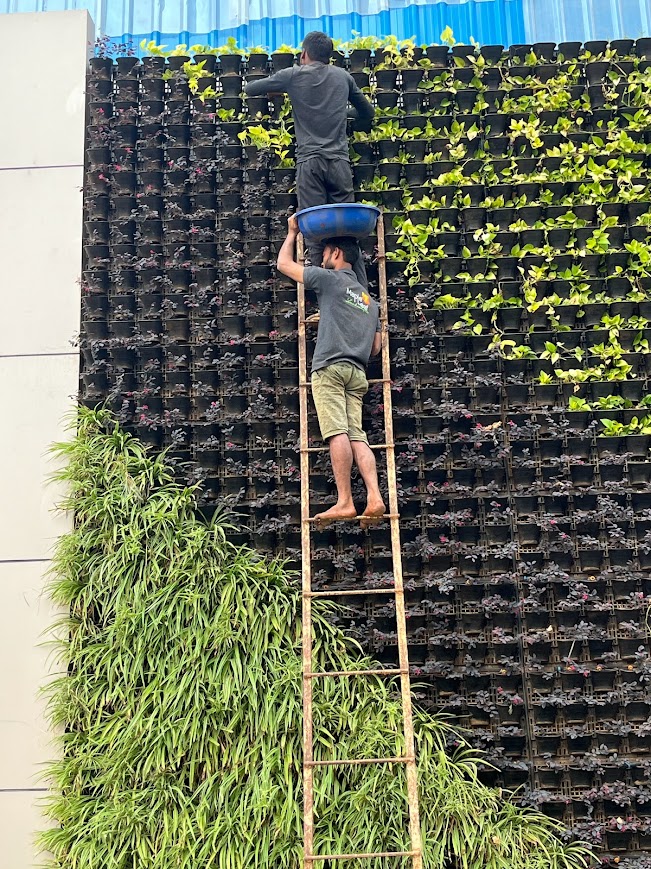 Vertical Garden Project 2